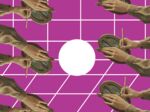 relates to Meet the Extraordinary Women Making Maps Today