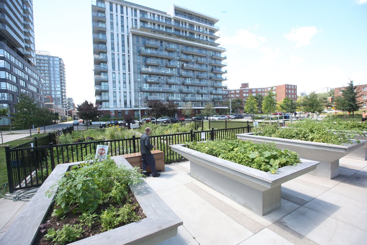 Toronto's Regent Park Revitalization Spurs Research Hub with UN-Habitat ...