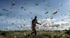 East Africa experiences worst locust swarms in decades