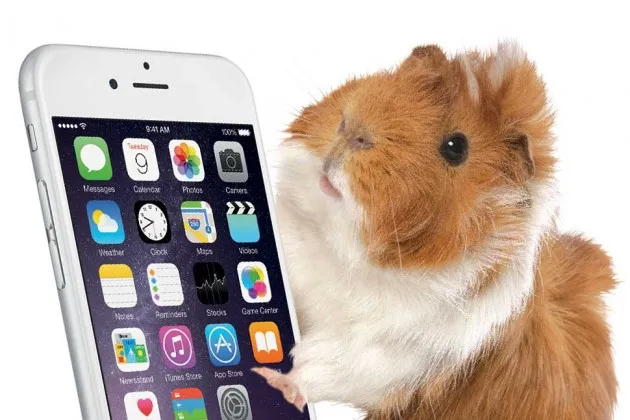 Appmakers Try to Game a Crowded Market