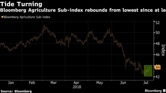 What to Watch in Commodities: Iran, Big Oil, Miners, Gold, Crops