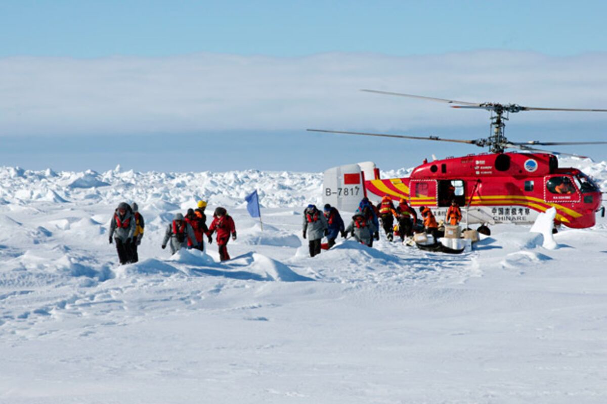 Antarctica has no government. Max Christmas Антарктида 2.2.