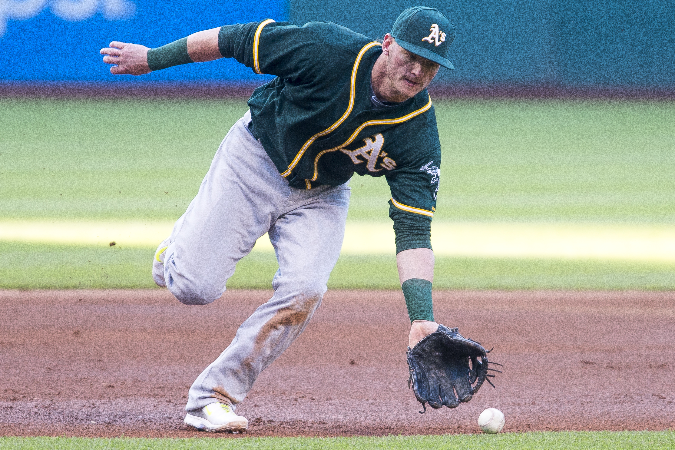 Josh Donaldson, Blogs & Videos