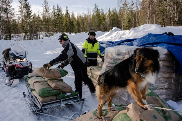 People loading snowmobiles with sacks of reindeer pellet food