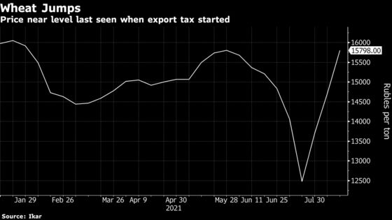 Russian Domestic Wheat Price at Season Record Fuels Concerns