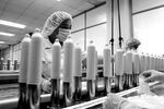 Women work at a condom manufacturing factory in Qingado, China, in 2004