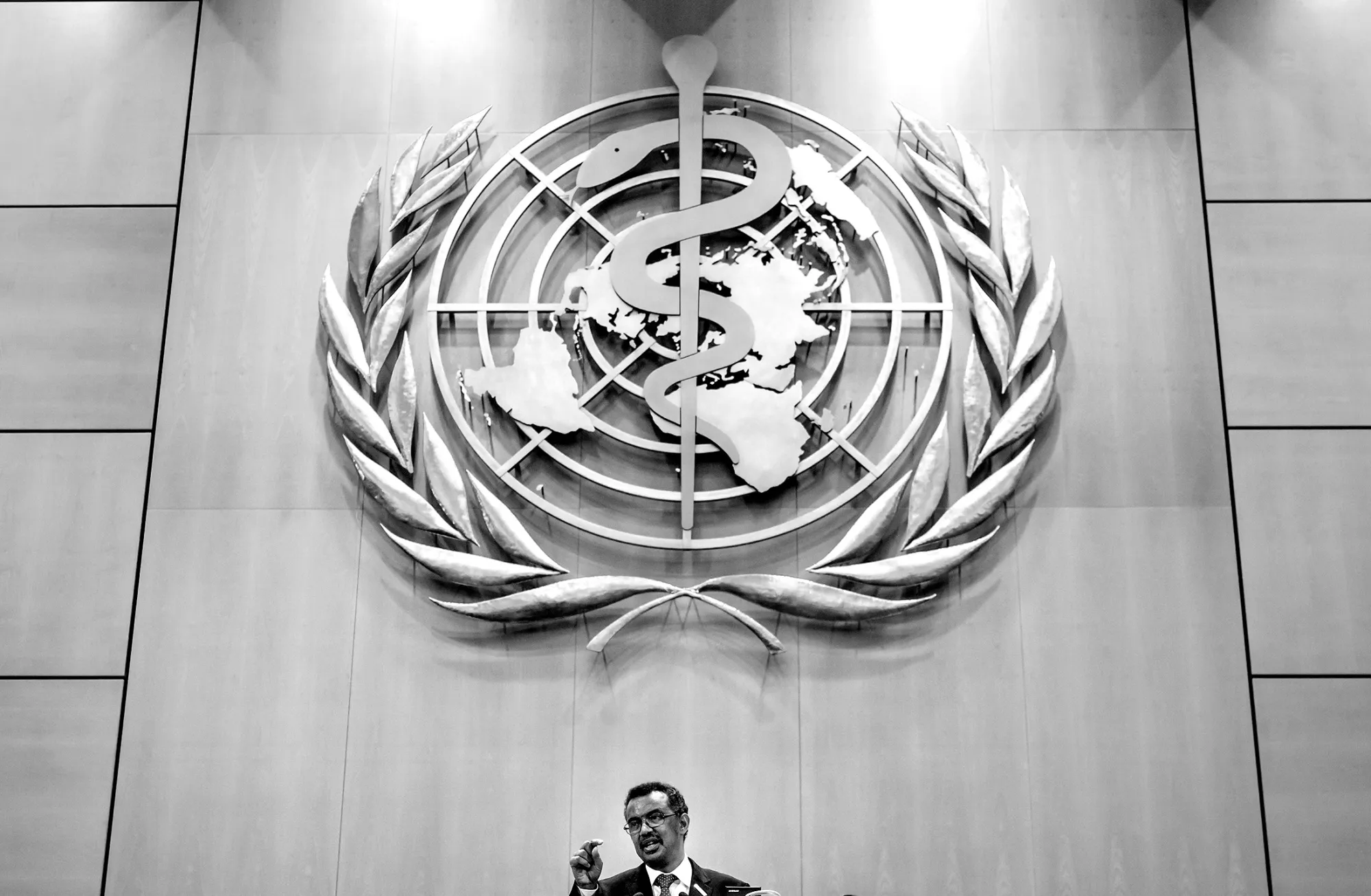 Tedros Adhanom Ghebreyesus, director-general of the World Health Organization,&nbsp;in Geneva&nbsp;in 2017.
