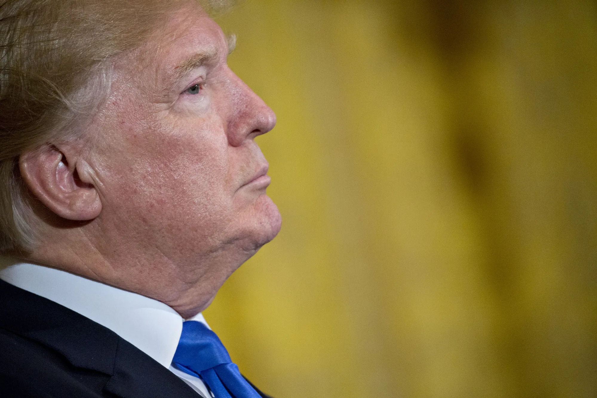 Stable genius.
