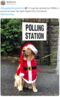 #dogstpollingstations