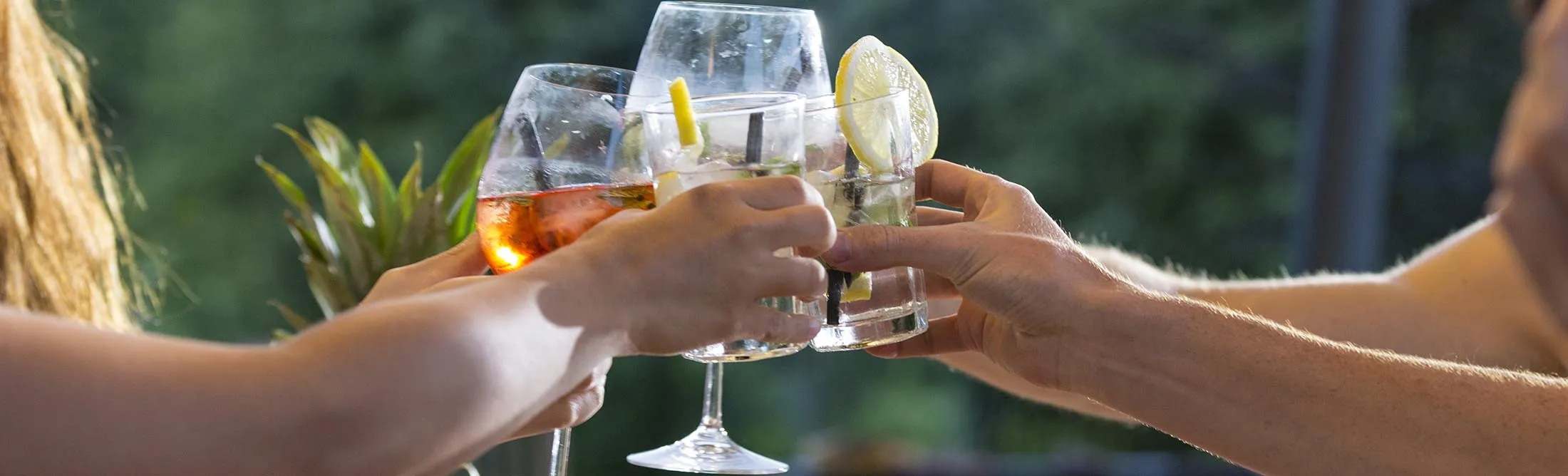 Friends clinking glasses at outdoor table