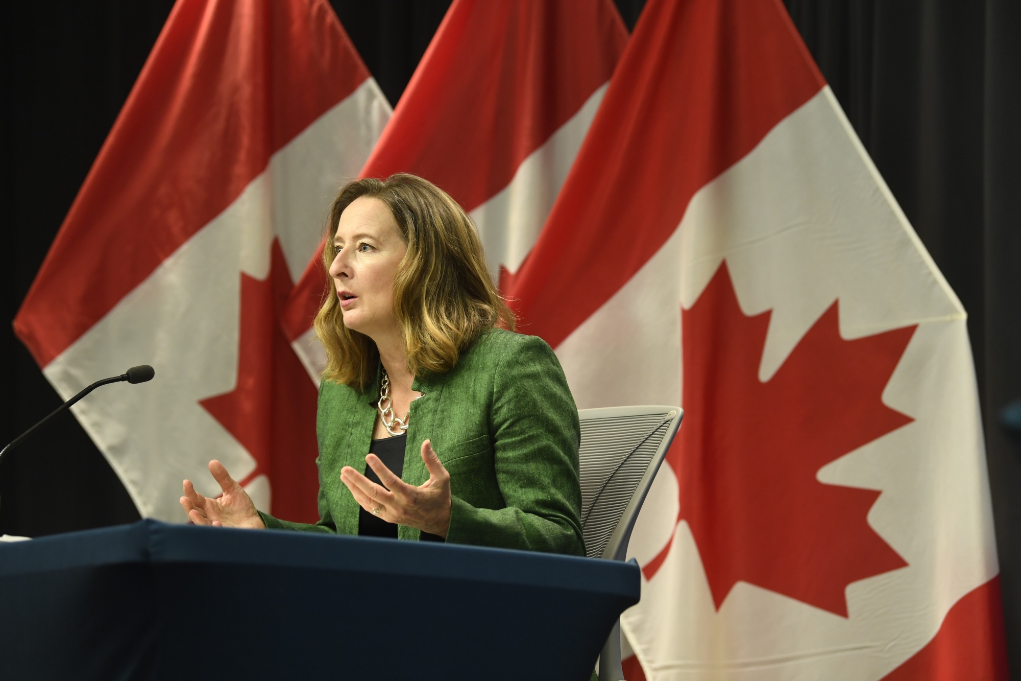 Carolyn Wilkins speaks during a Bank of Canada news conference on July 15.