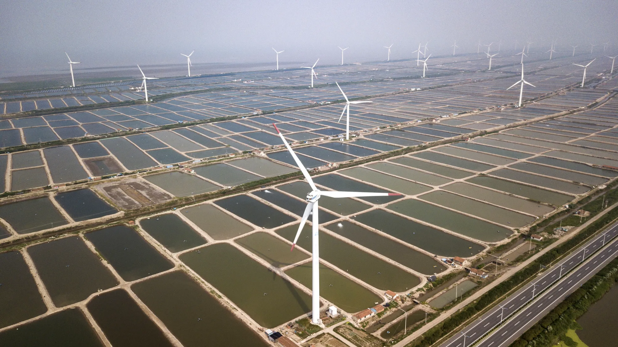 Wind turbines in Qidong, China.