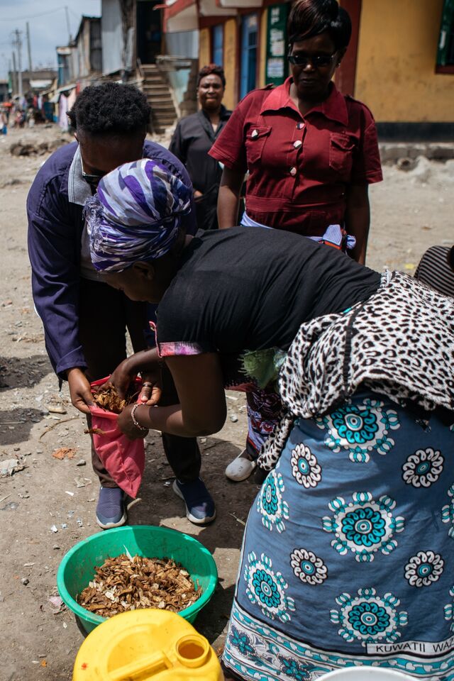 Potato scraps from Janet Mutangi's food stall is collected for a BSF farm.