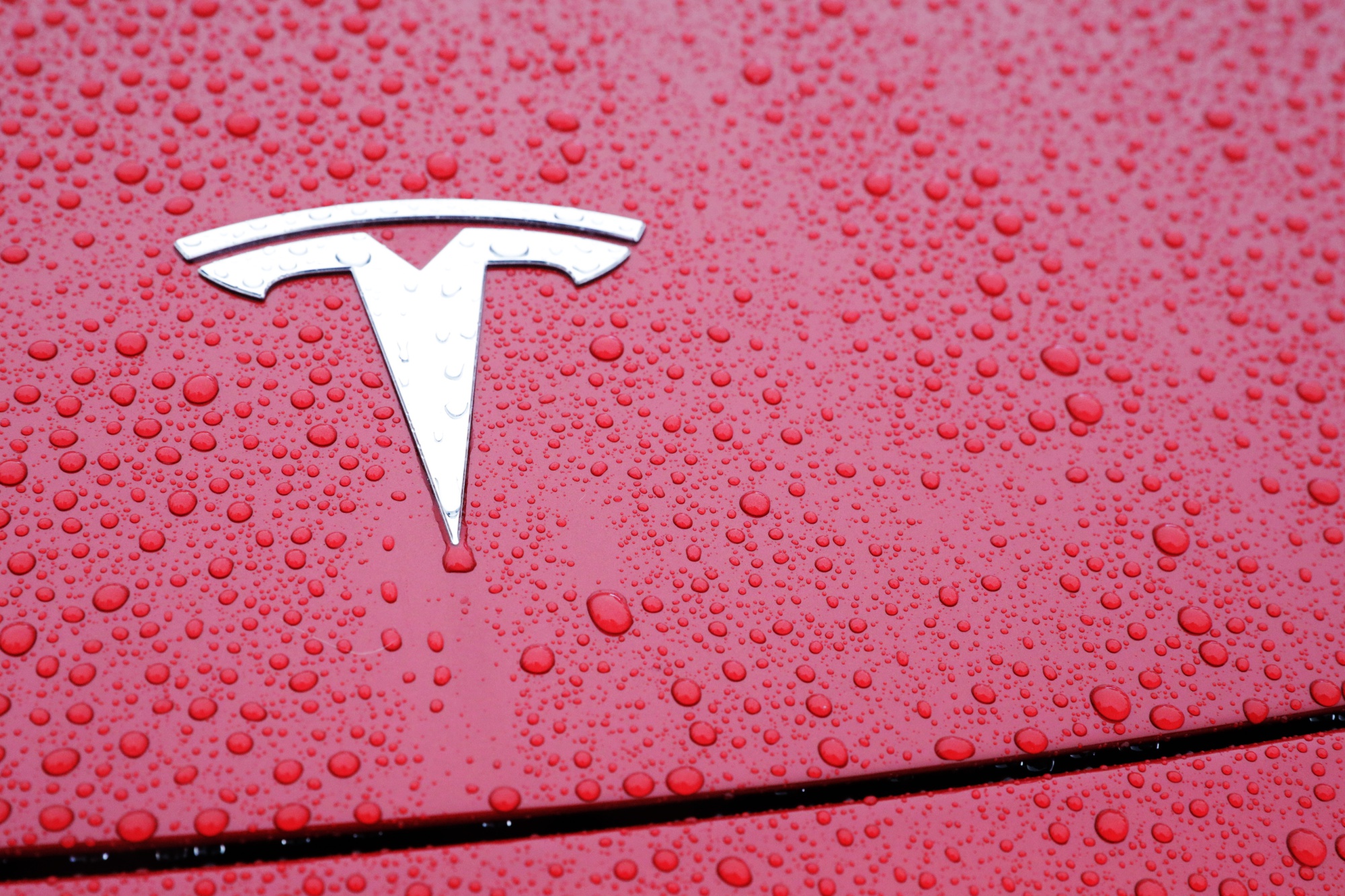 Tesla Crash in Florida Sparks Transport Safety Board Probe - Bloomberg