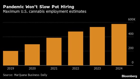 Hiring Resumes, But Executives Need Not Apply: Cannabis Weekly