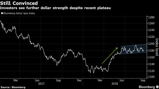 King Dollar, Robo Traders Are the Talk of the Currency Universe