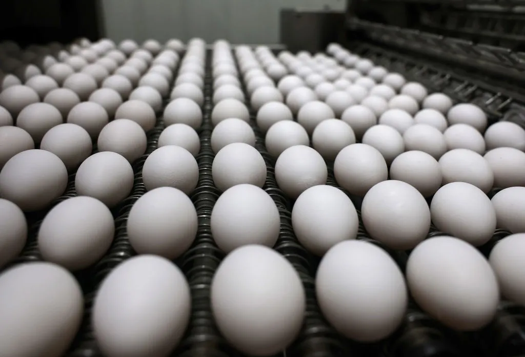 Egg-specting inflation?