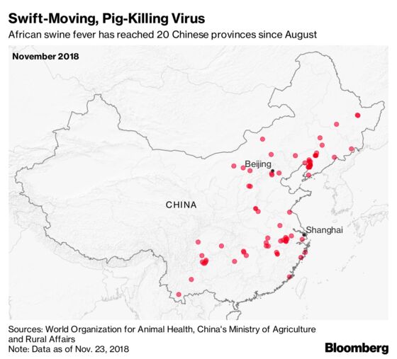 Killer Pig Virus Gets Closer to Beijing, Shanghai