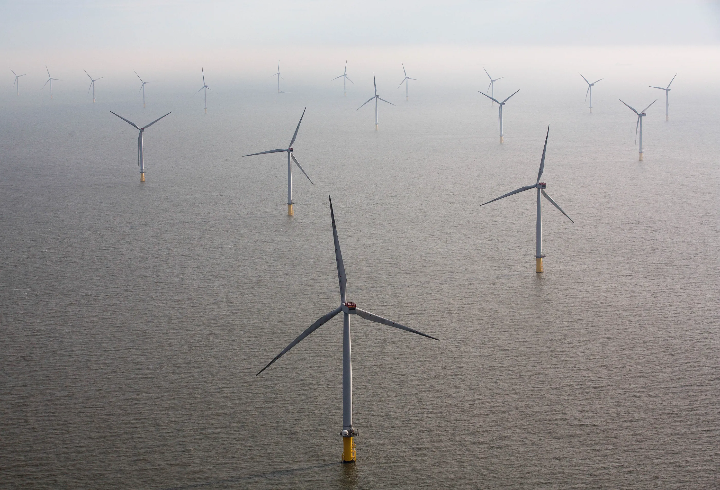 An offshore wind farm in the North Sea.