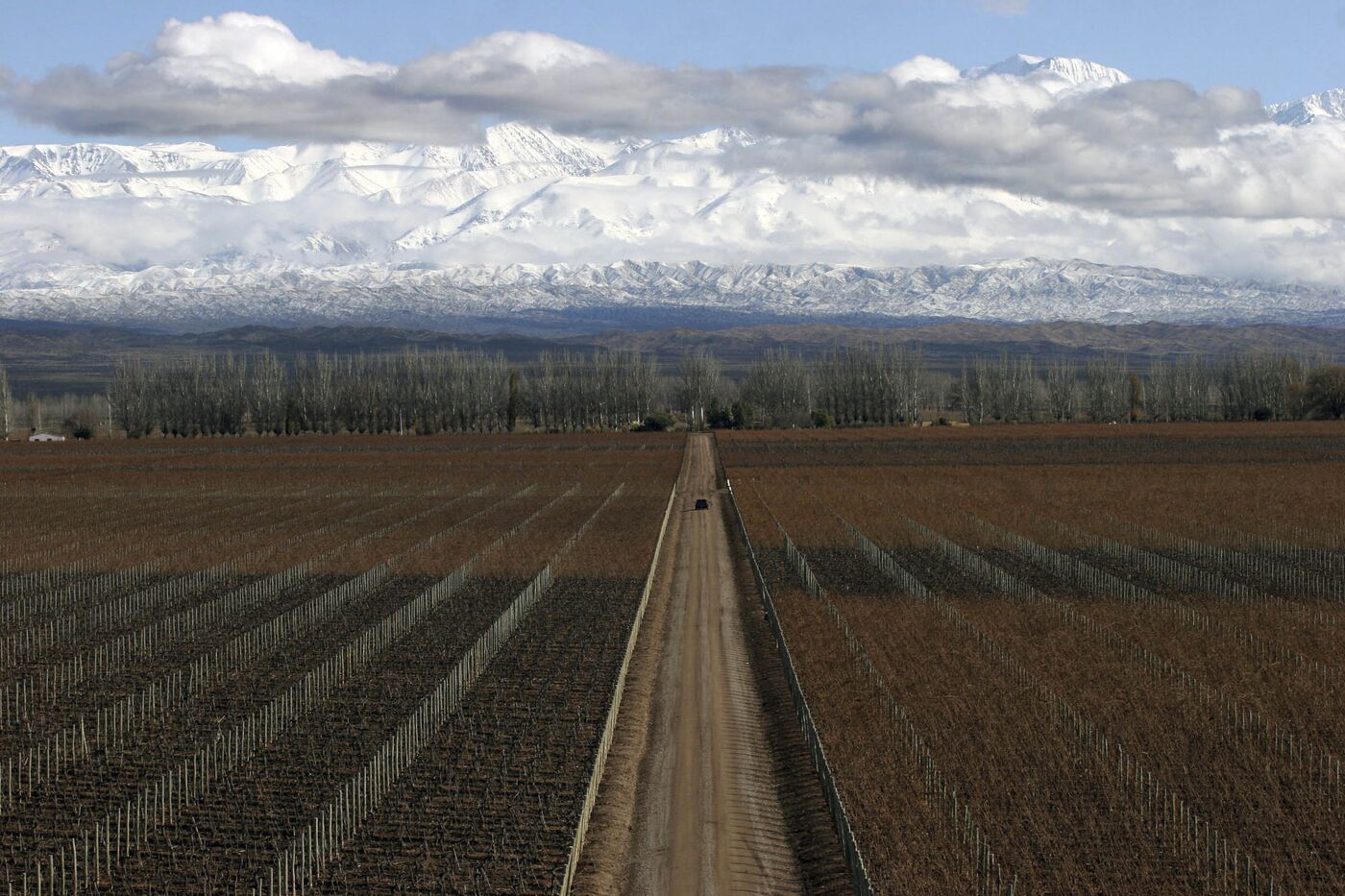 Catena Zapata vineyard's 150 hectares (3