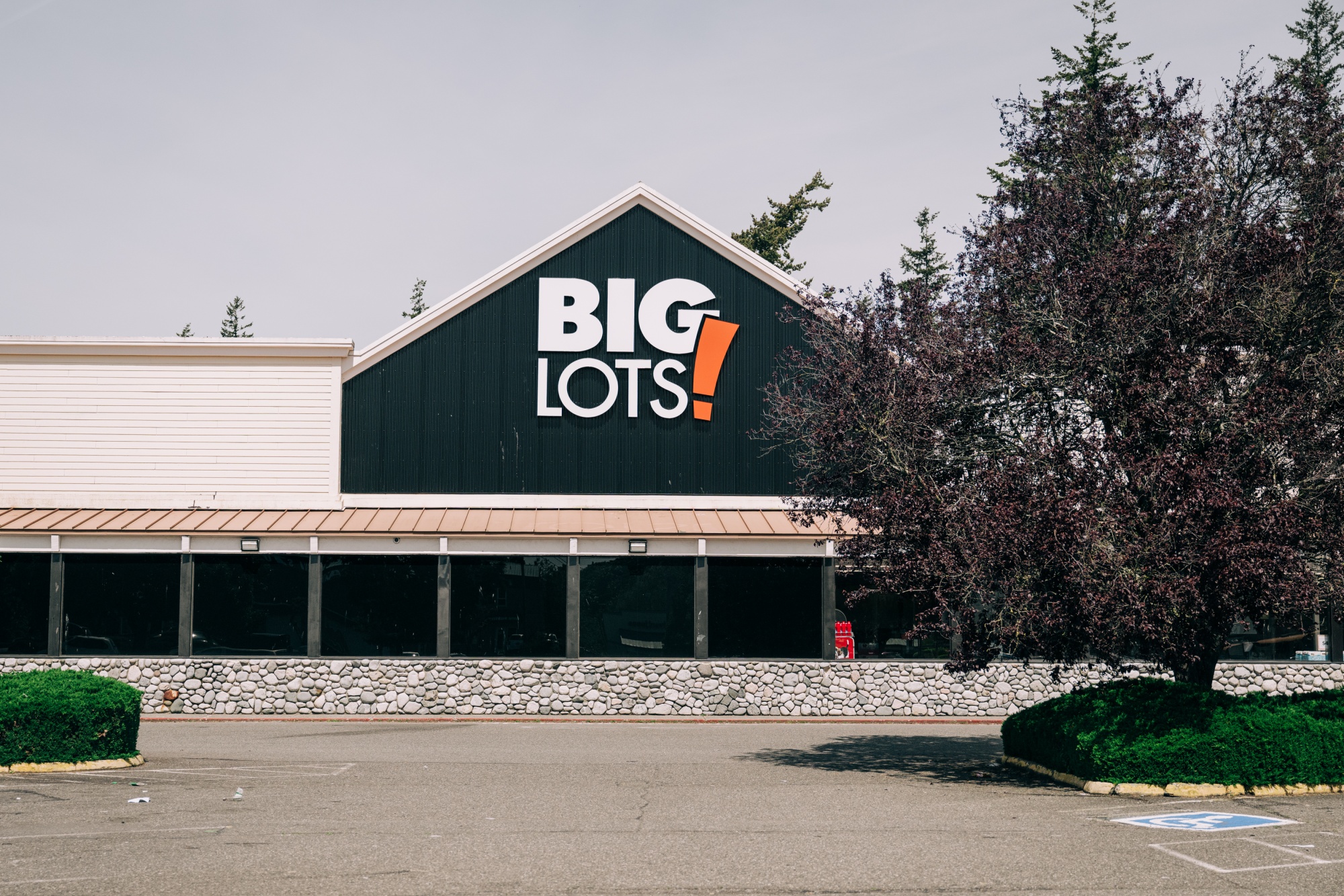 A former Albertson's in the Birchwood neighborhood of Bellingham, WA that turned into a Big Lots store.