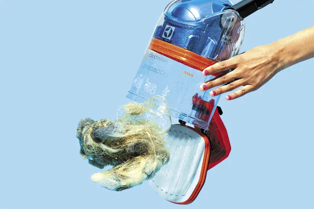 Electrolux's Holy Trinity for Hit Products