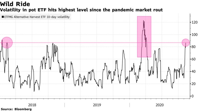Volatility in pot ETF hits highest level since the pandemic market rout