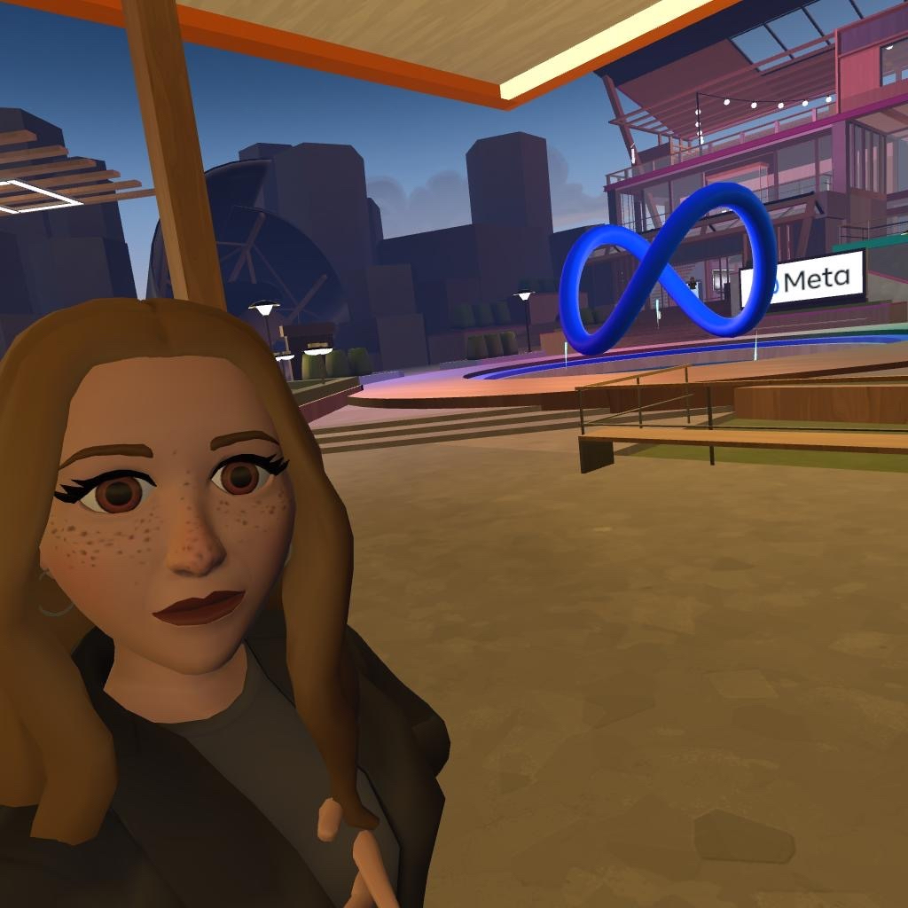 Our Rotary club meets in the Metaverse