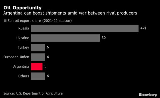 Wartime Sunflower Boom Beckons for Farmers on Argentina’s Pampas Plains