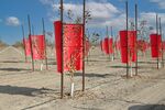 Opti-Harvest’s colored polymer tubes, panels and cones are placed on, above or around trees or other crops to increase photosynthesis, according to the company.