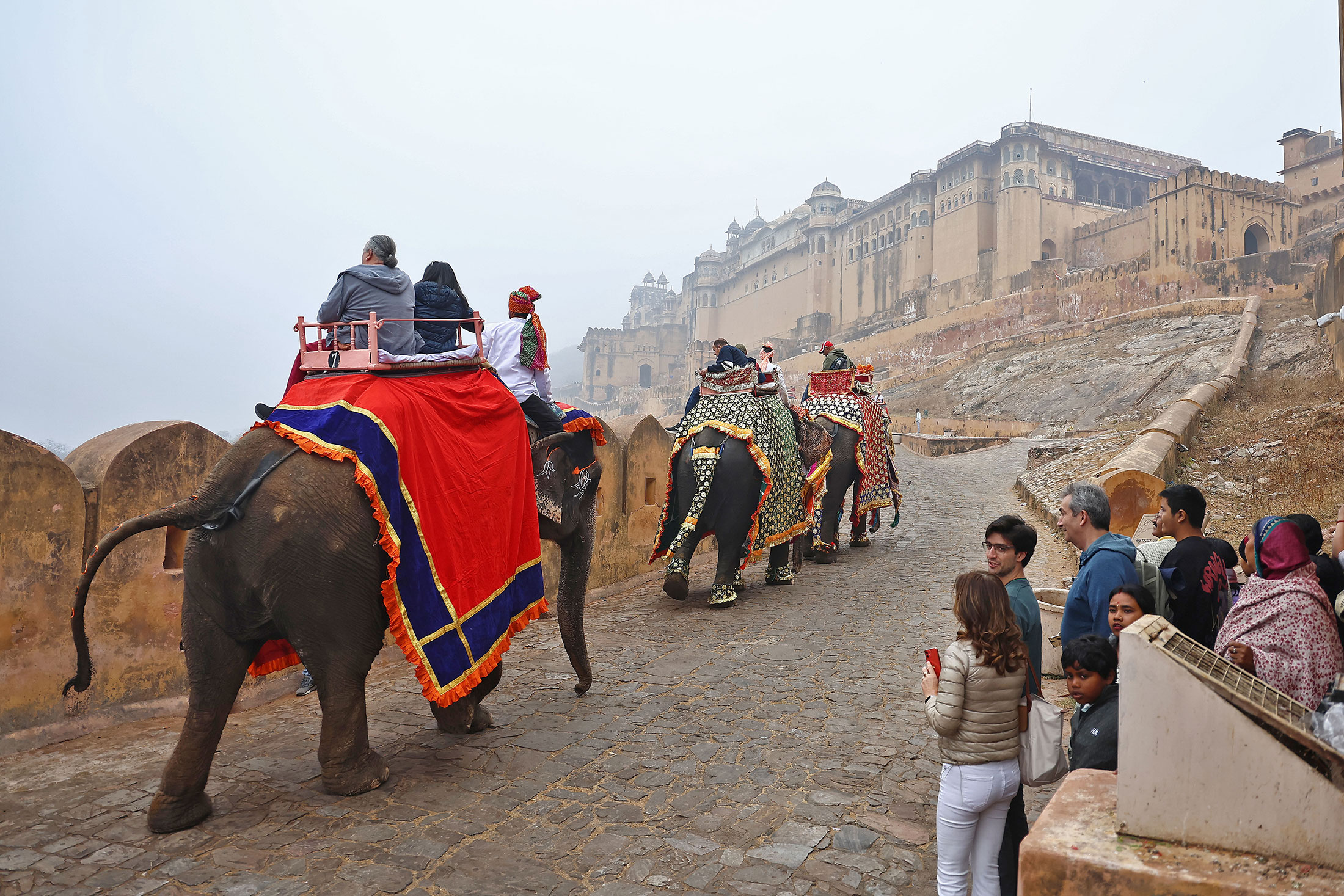 Elephants carry visitors during a new year celebration in Jaipur, the capital of Rajasthan. Photographer: Vishal Bhatnagar/NurPhoto/AP Photo