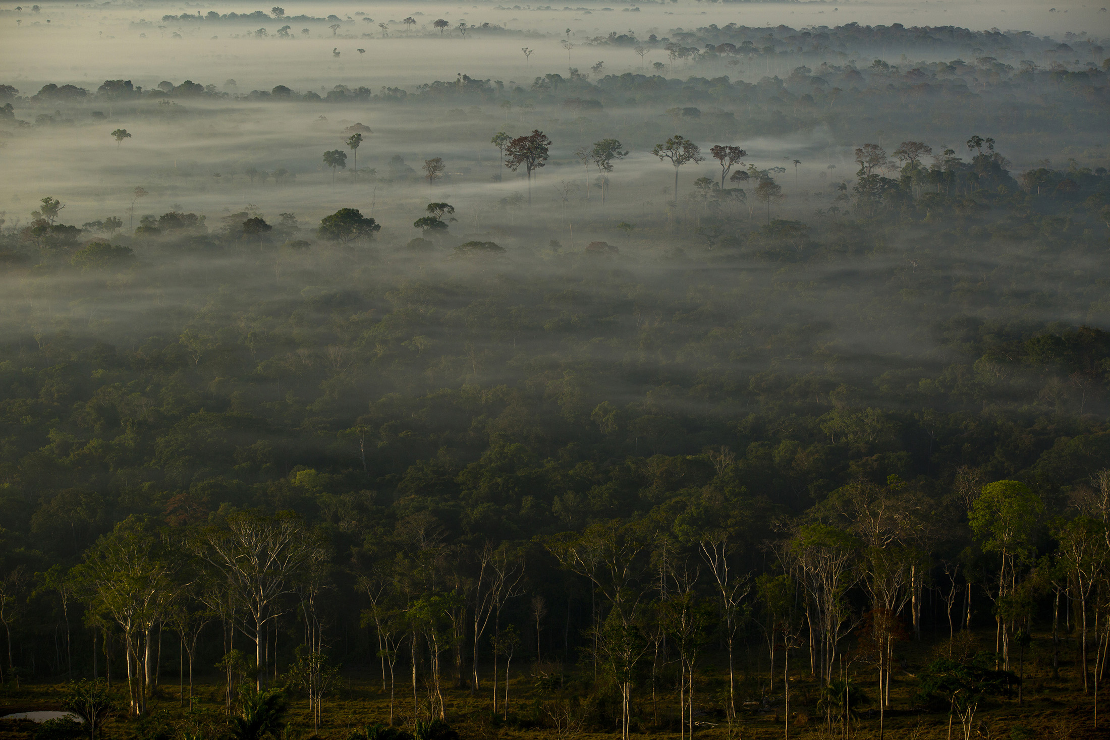 Aerial Views of the Brazilian Amazon