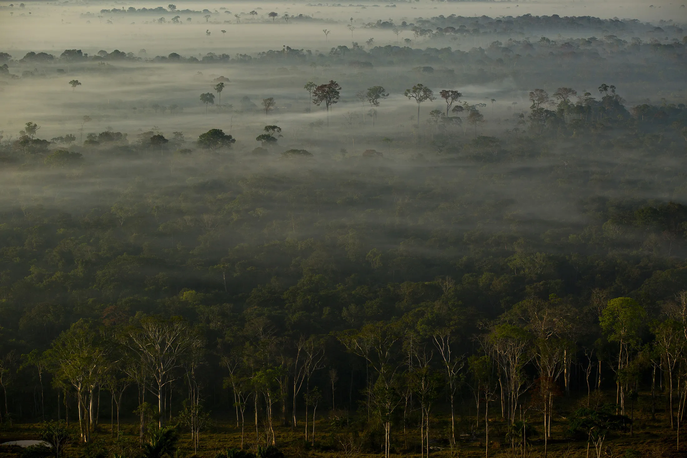 Aerial Views of the Brazilian Amazon