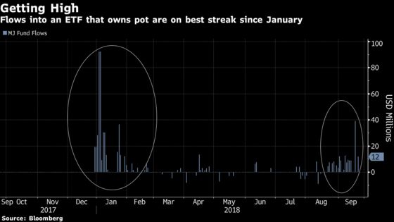 Buying a Marijuana ETF Gets Harder as Custody Shift Spooks Banks