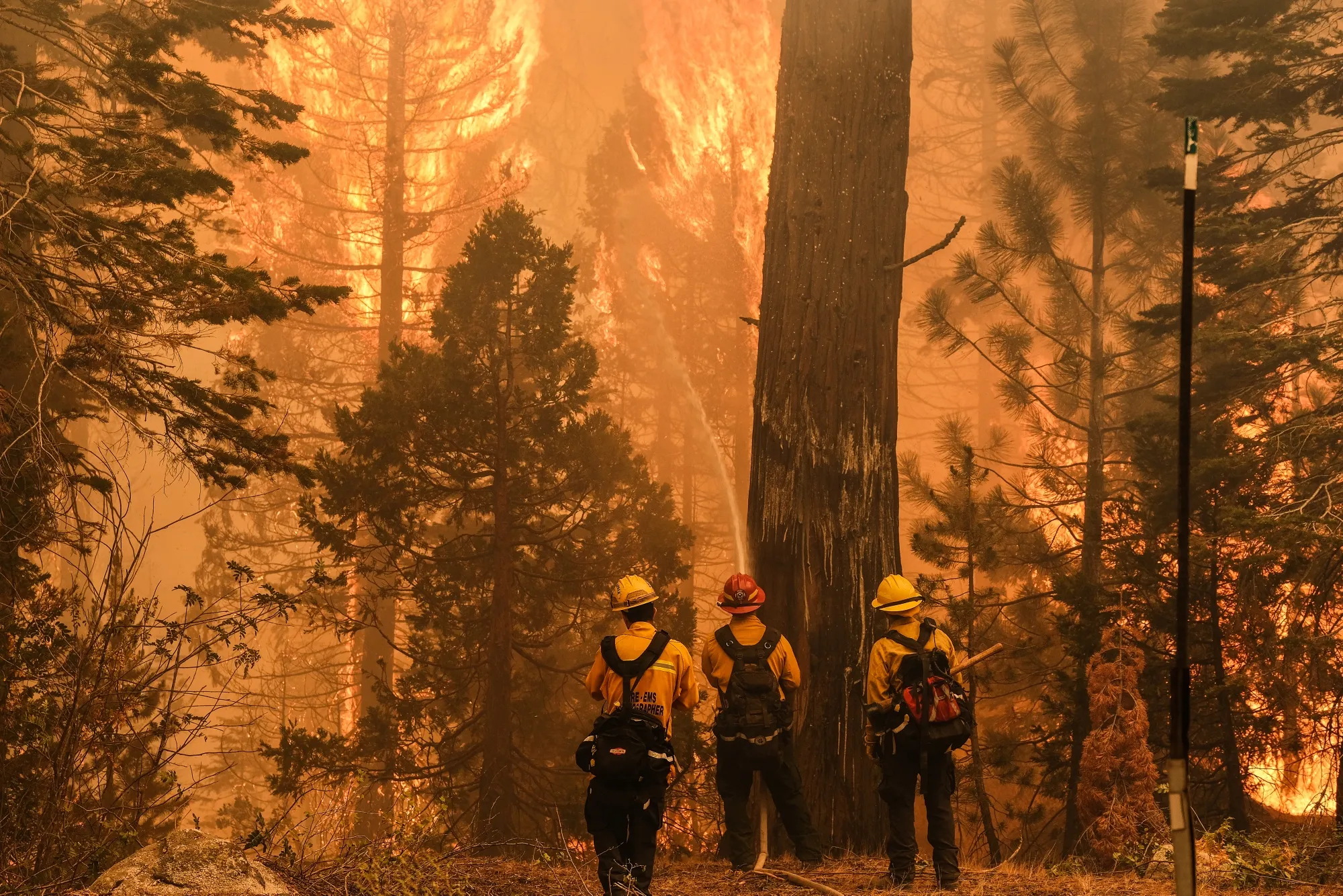 Firefighters&nbsp;battle the Caldor Fire in Meyers, California, on&nbsp;Aug. 31.