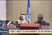 Oil Options Traders Buy Record Bullish Contracts Amid OPEC Moves