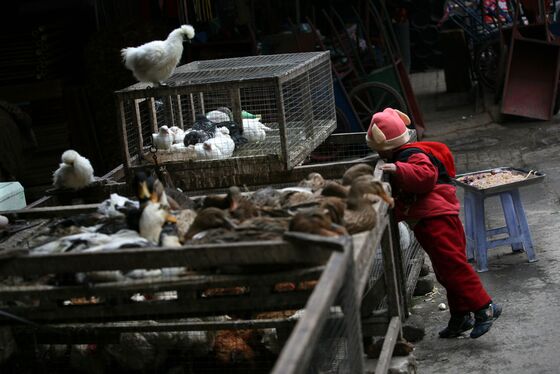 China Fresh Meat Lovers Lament Death of Live Poultry Markets