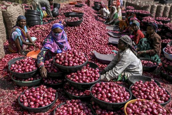 An 80% Drop in Sky-High Indian Onion Prices Is Around the Corner