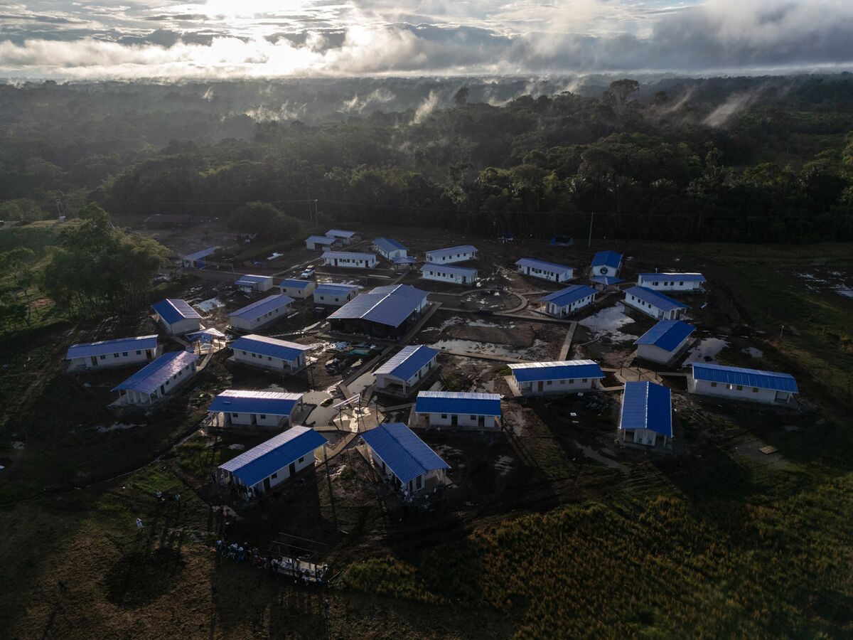 Cocaine Crackdown Opens a New Era of Jungle Warfare in Colombia