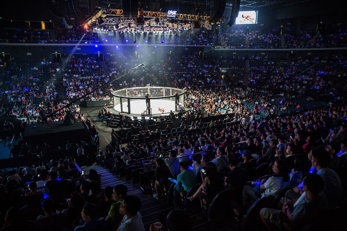 Professional Fighters League sets sights on Qatar MMA fights as part of  MENA expansion - Doha News