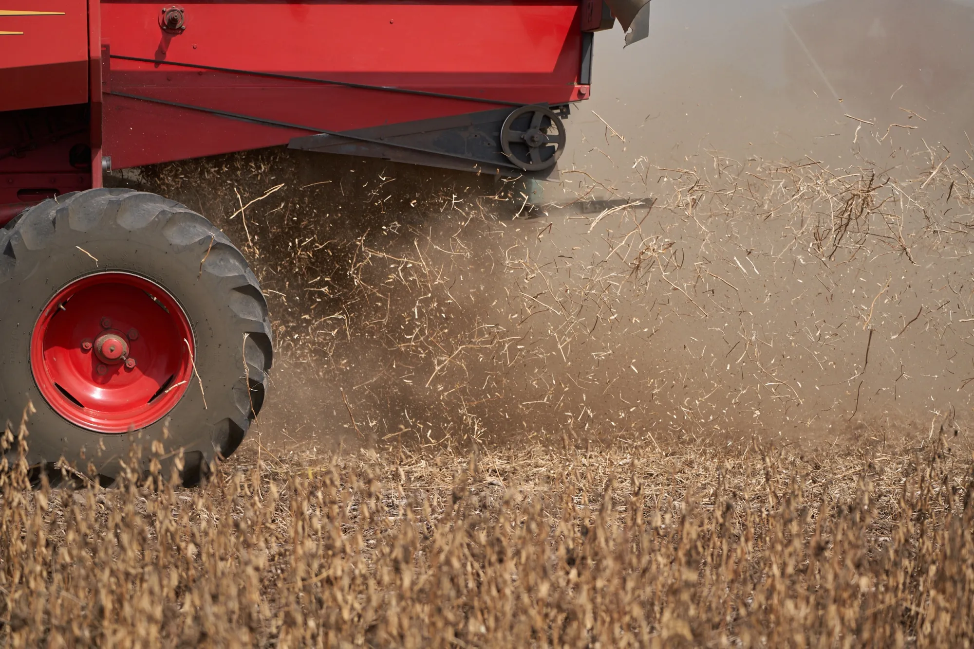 Argentina Soy Crop Forecast Slashed To Smallest On Record