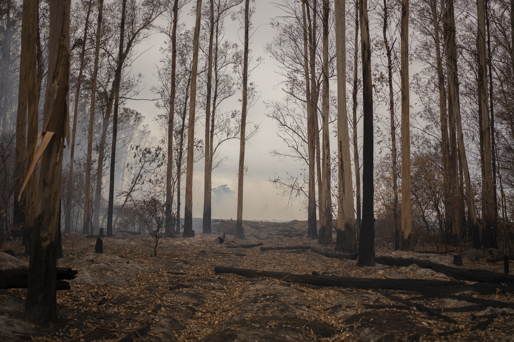 Bank Watchdogs Urged to Focus on Climate Risk - Bloomberg