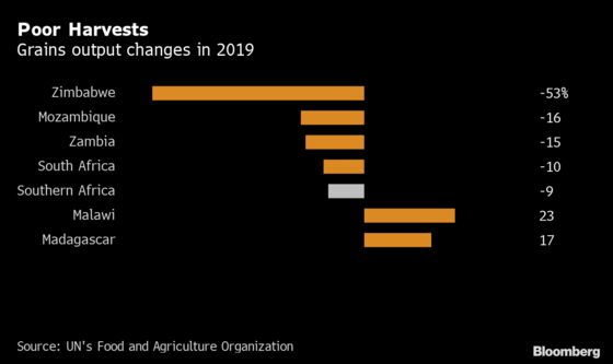 Southern Africa Faces Unprecedented Drought and Food Shortages