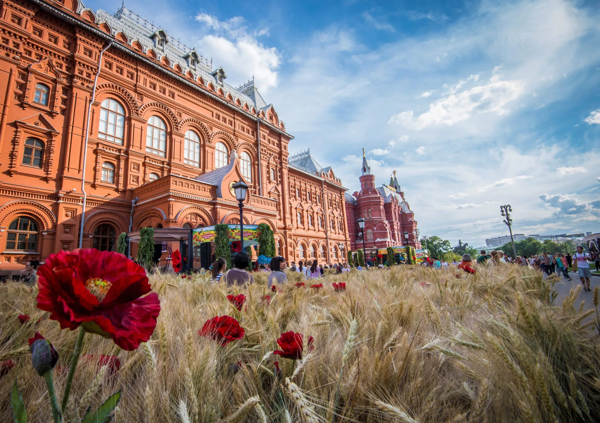 Amber waves of Russian grain.