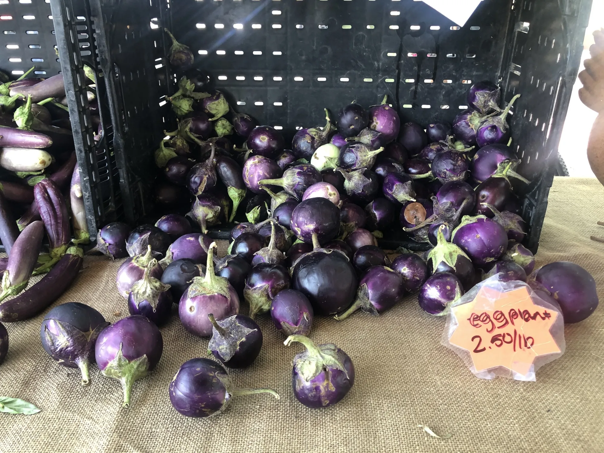 The Feed Phoenix program uses federal relief money to buy produce from local farms and pay chefs to prepare meals for locals in need.