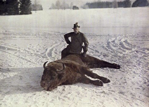 Prince Albert with a bison, 1913