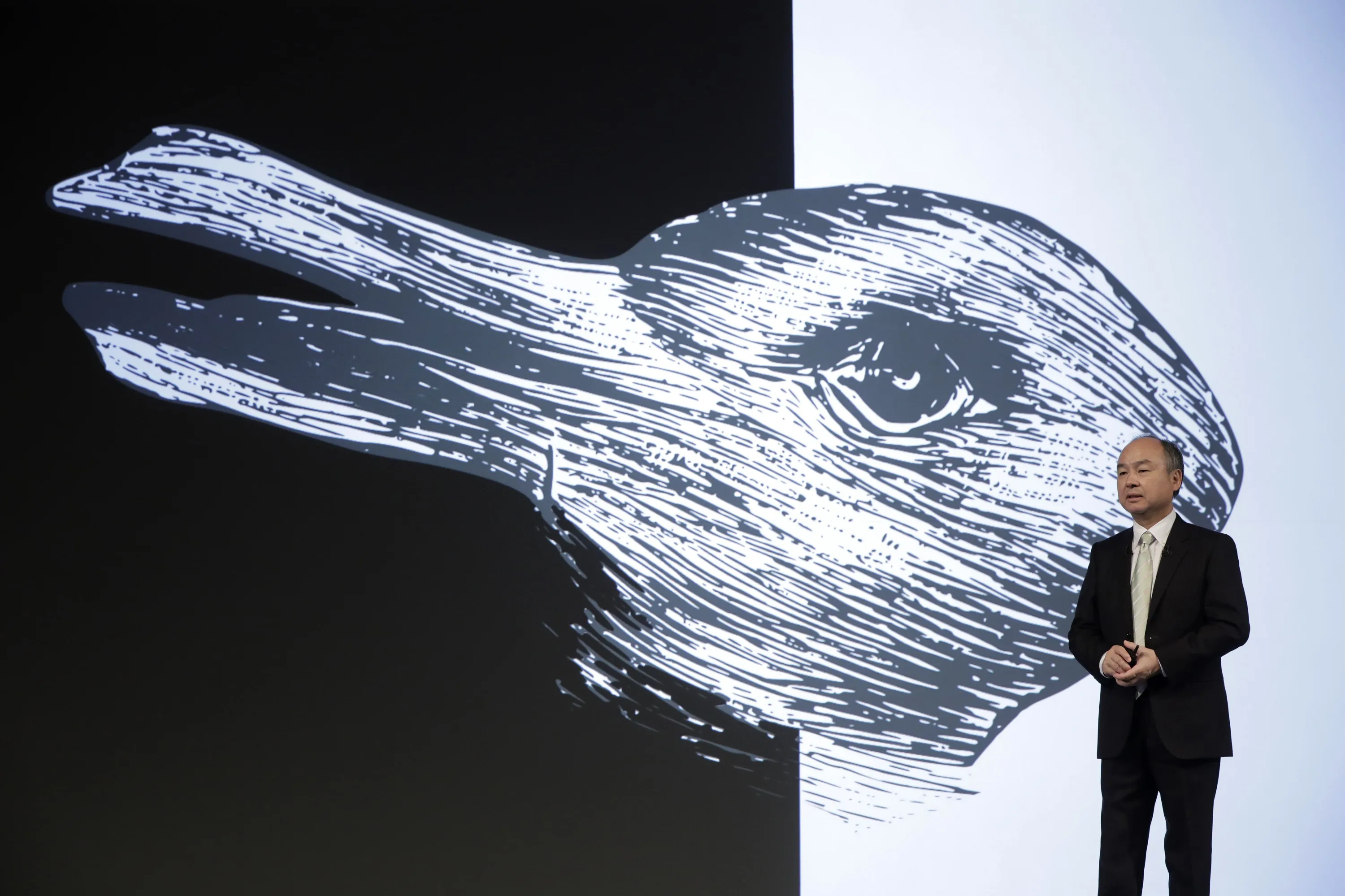 Duck and rabbit.