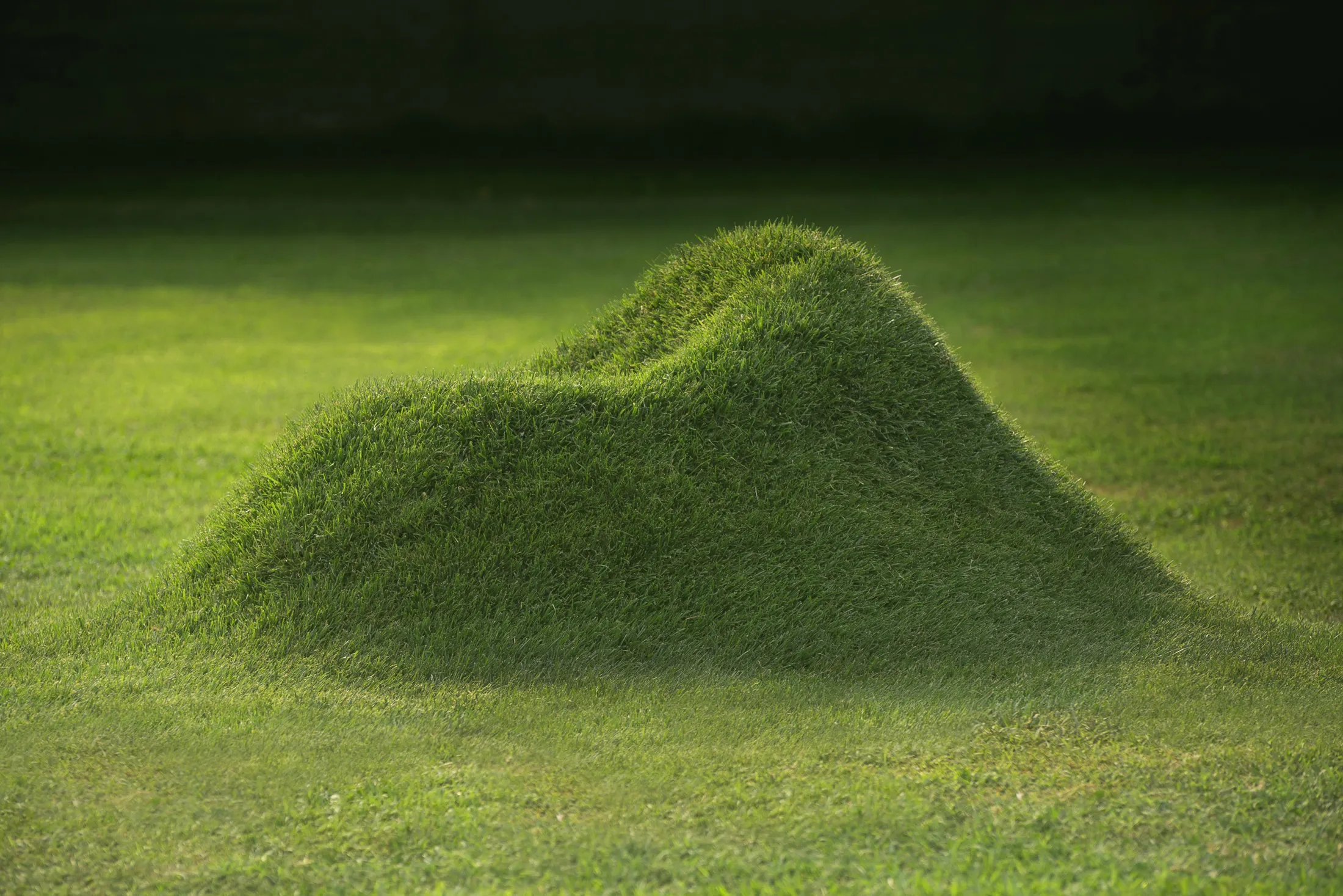 Terra! v2.0 fully grown.