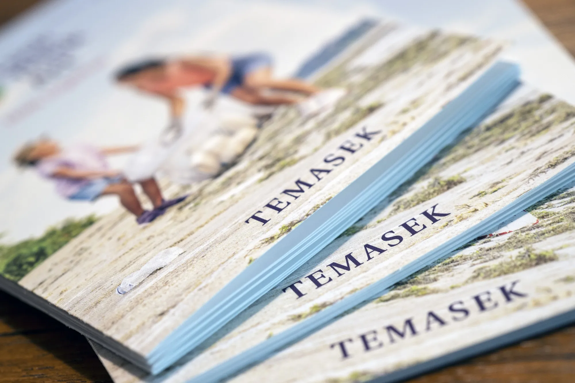 Copies of the Temasek Holdings Pte annual report