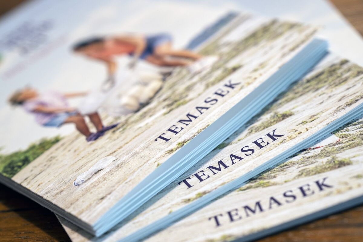 Temasek Likely to Miss 2030 Climate Target, CEO Pillay Says